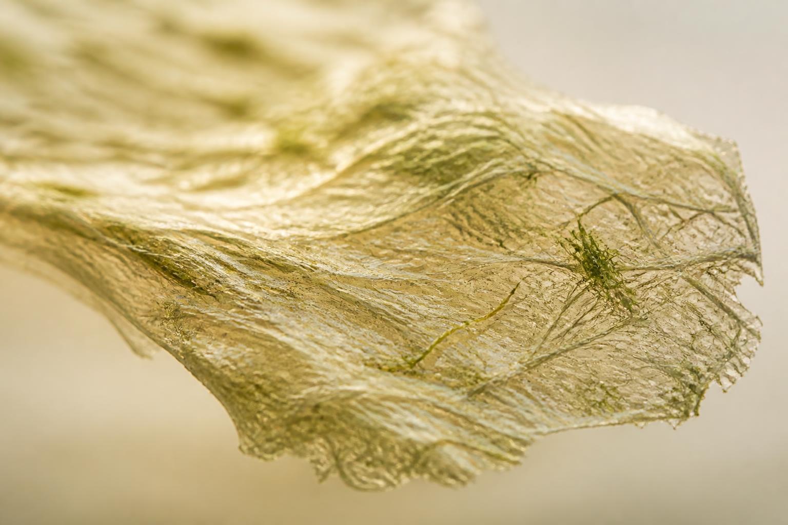 Material compósito biodegradável em macro